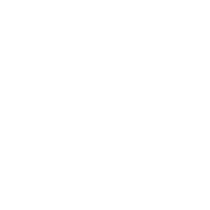 icob 3